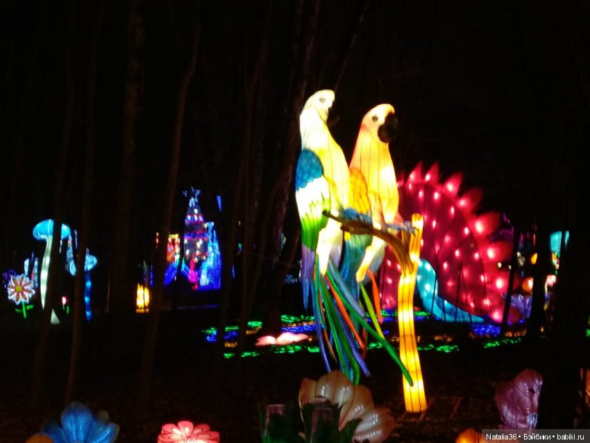 Фестиваль Волшебных китайских фонарей | Бэйбики Фестиваль Волшебных китайских фонарей