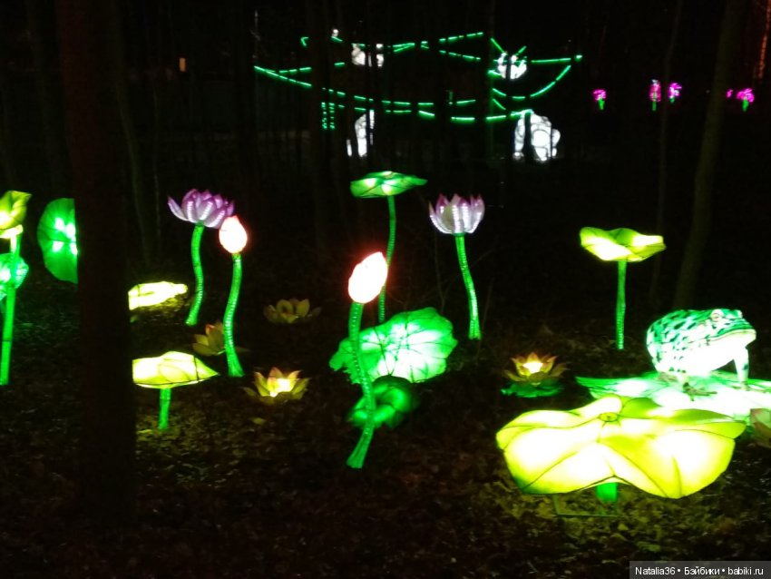 Фестиваль Волшебных китайских фонарей | Бэйбики Фестиваль Волшебных китайских фонарей