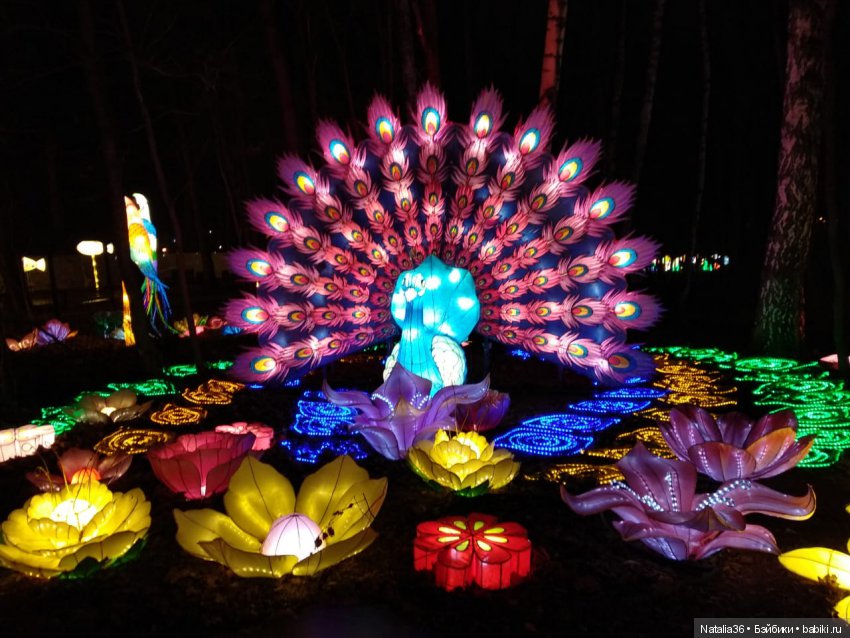 Фестиваль Волшебных китайских фонарей | Бэйбики Фестиваль Волшебных китайских фонарей