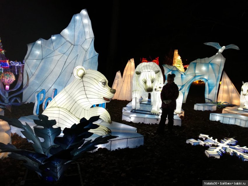 Фестиваль Волшебных китайских фонарей | Бэйбики Фестиваль Волшебных китайских фонарей (фото 6)