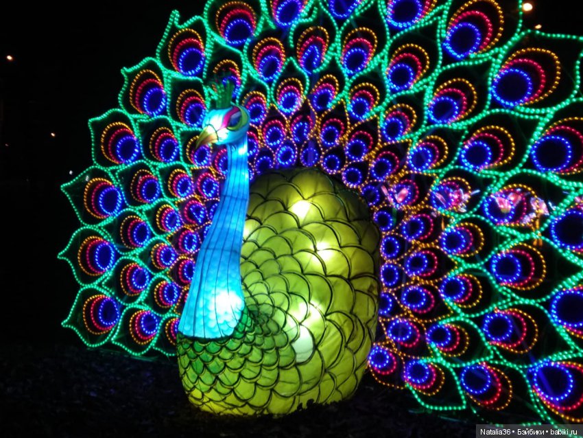 Фестиваль Волшебных китайских фонарей | Бэйбики Фестиваль Волшебных китайских фонарей