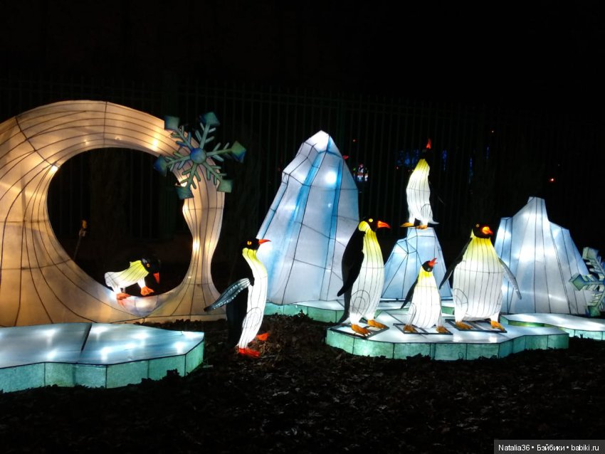 Фестиваль Волшебных китайских фонарей | Бэйбики Фестиваль Волшебных китайских фонарей (фото 10)