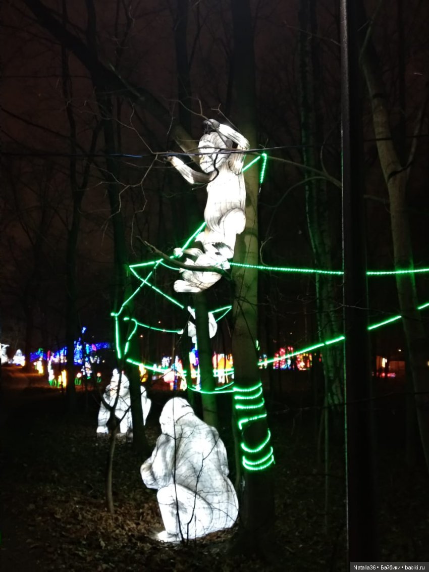 Фестиваль Волшебных китайских фонарей | Бэйбики Фестиваль Волшебных китайских фонарей (фото 4)