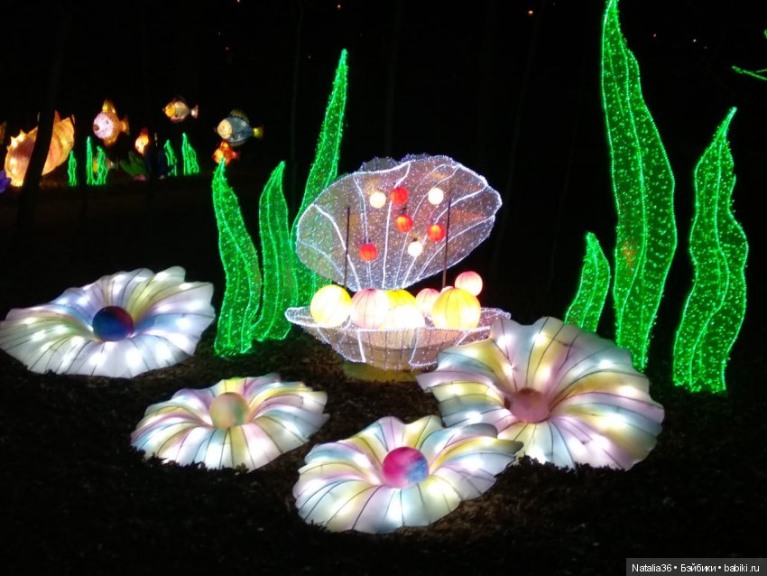 Фестиваль Волшебных китайских фонарей | Бэйбики Фестиваль Волшебных китайских фонарей (фото 7)