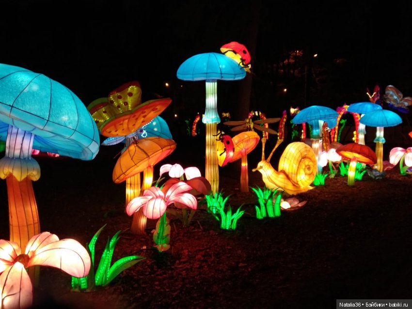 Фестиваль Волшебных китайских фонарей | Бэйбики Фестиваль Волшебных китайских фонарей