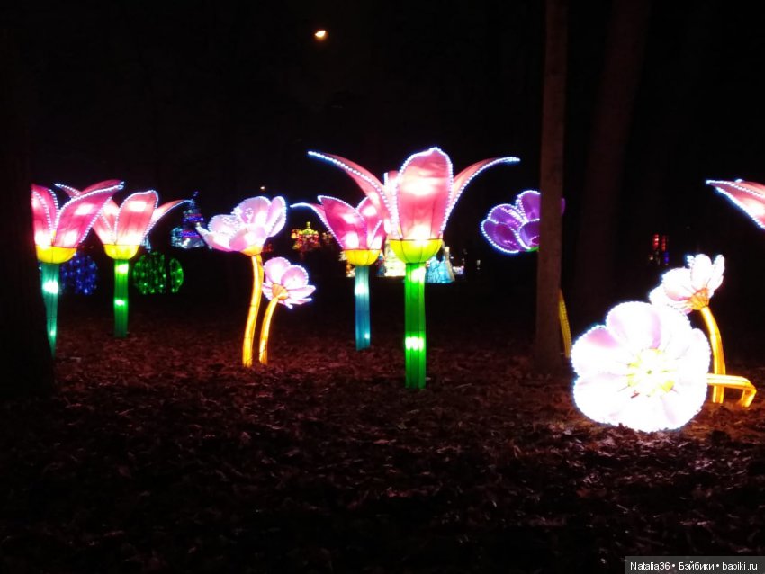 Фестиваль Волшебных китайских фонарей | Бэйбики Фестиваль Волшебных китайских фонарей (фото 3)