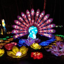 Фестиваль Волшебных китайских фонарей