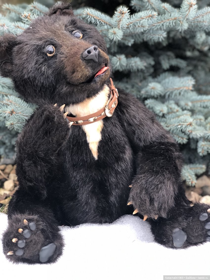 Большой бурый мишка