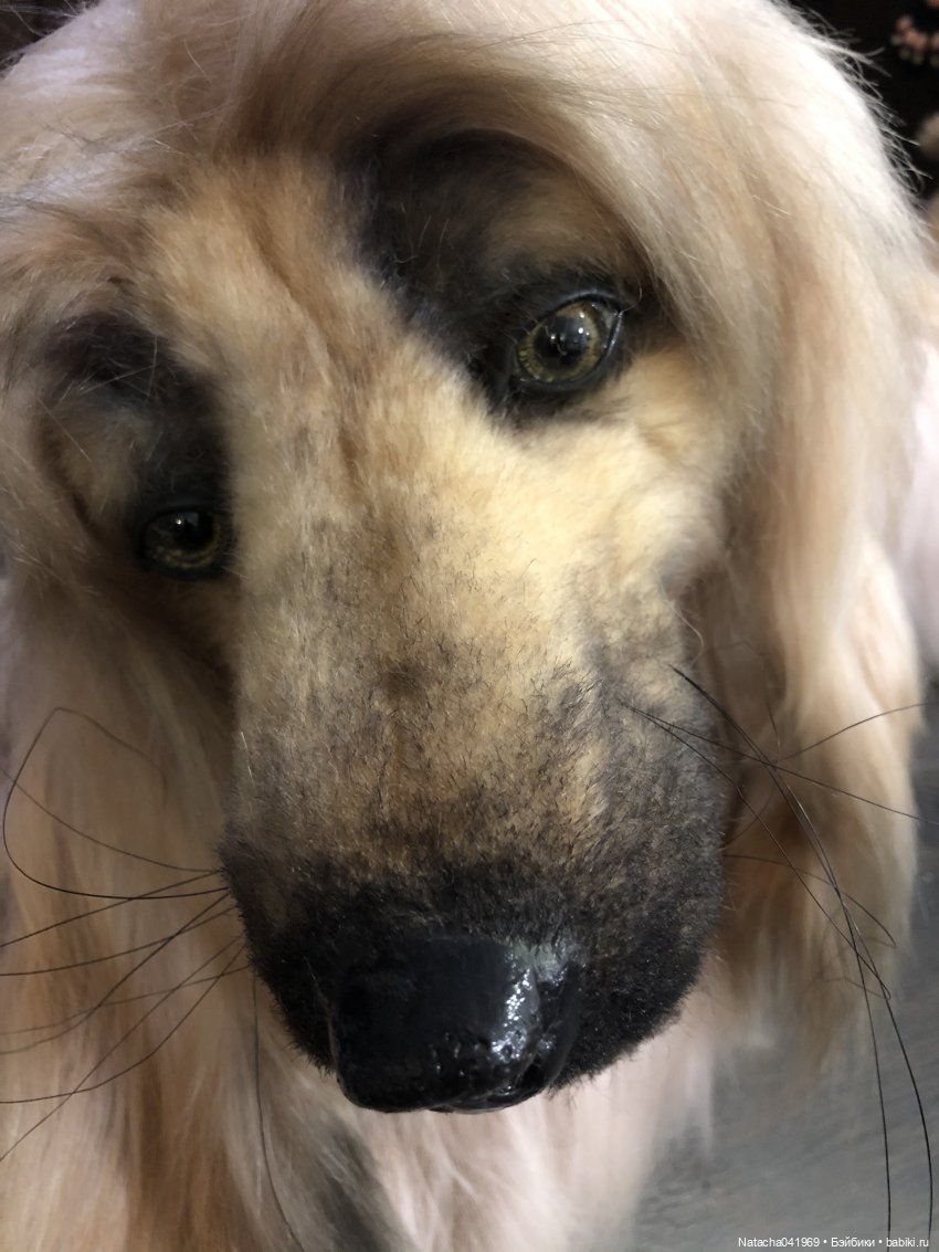 Все на выставку — Выставки кукол и мишек Тедди: фоторепортажи