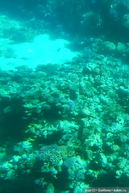 СОСЕДИ.Продолжение.Часть2. Морская прогулка