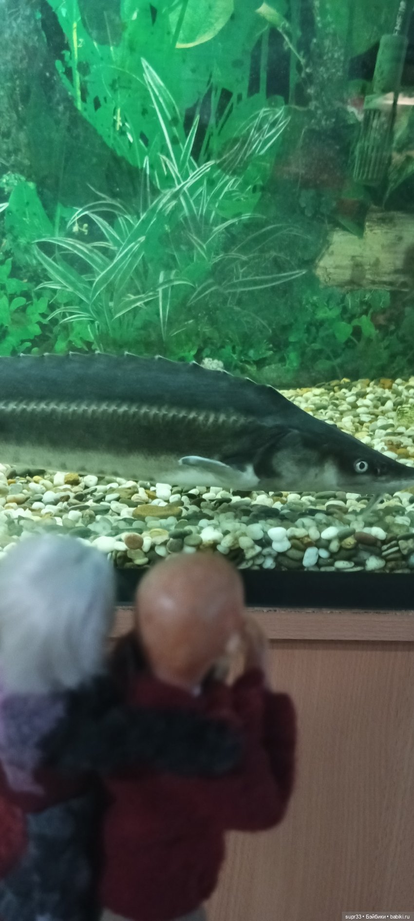 СОСЕДИ.Продолжение.Часть3. Неожиданное путешествие (фото 8)