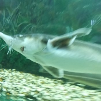 СОСЕДИ.Продолжение.Часть3. Неожиданное путешествие