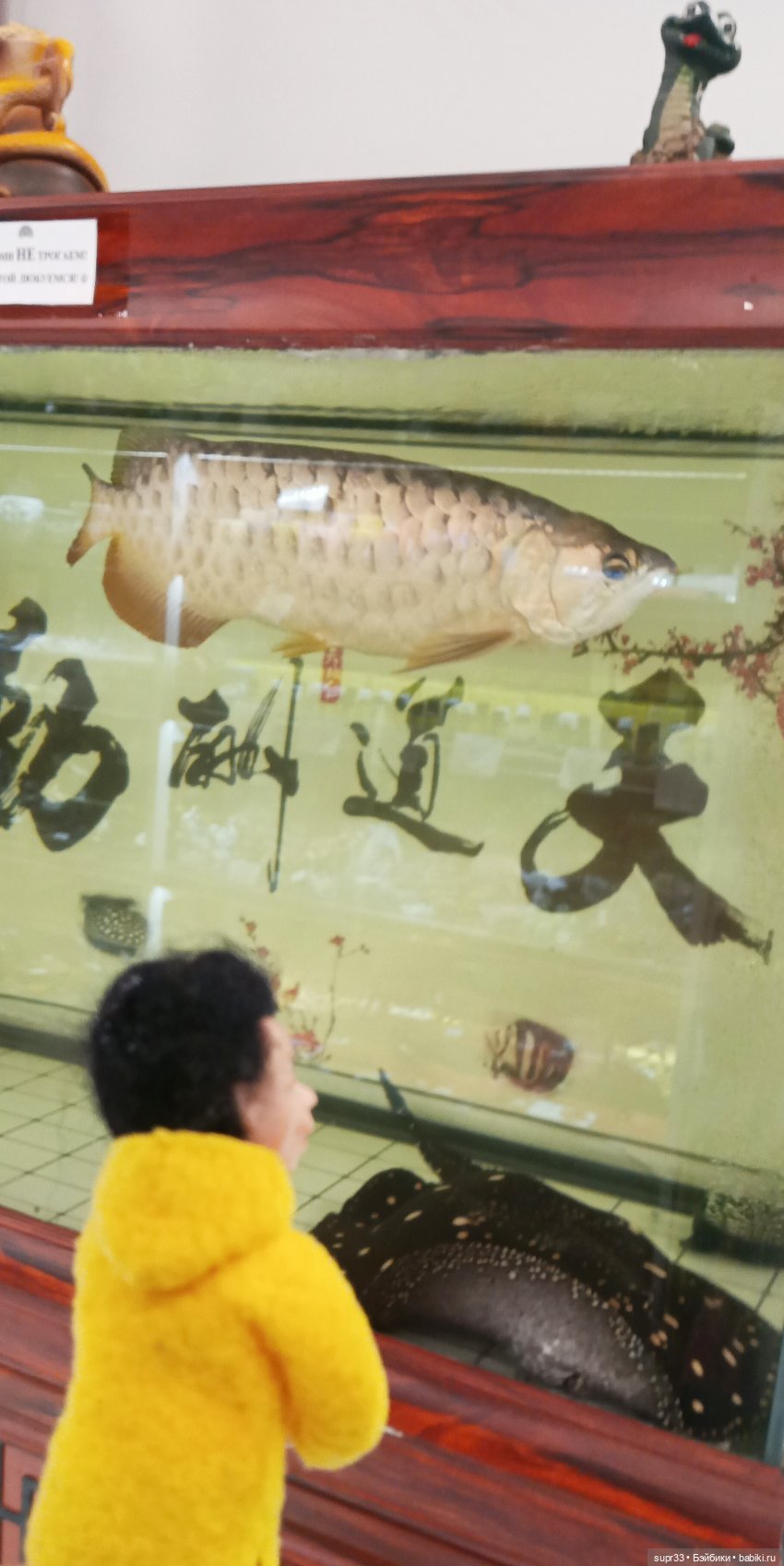 СОСЕДИ.Продолжение.Часть3. Неудачный побег (фото 9)