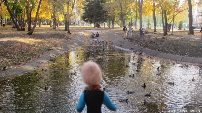 СОСЕДИ.Продолжение.Часть3. В осеннем парке