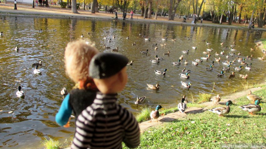 СОСЕДИ.Продолжение.Часть3. В осеннем парке