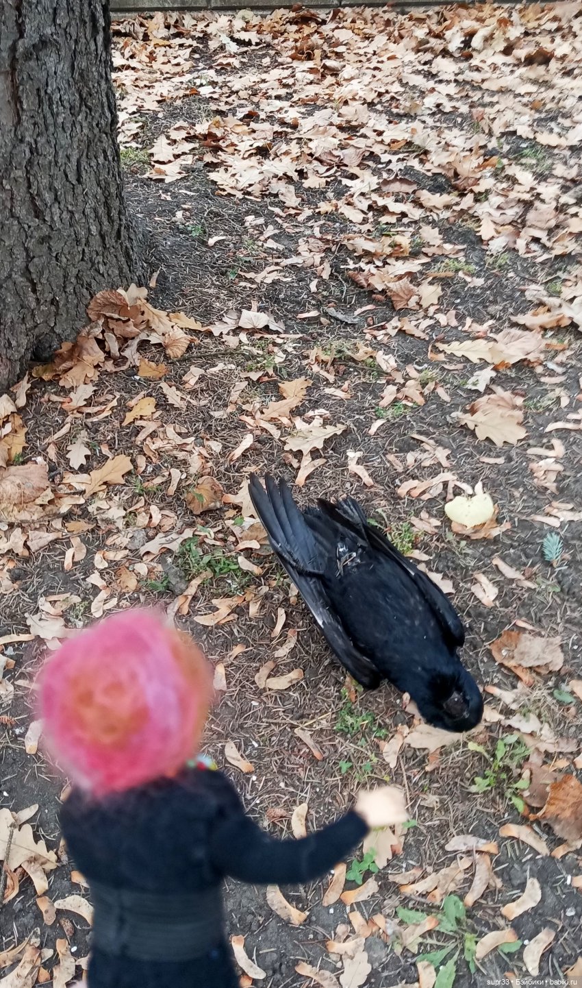 Соседи.Путешествие в Тарханы.Продолжение