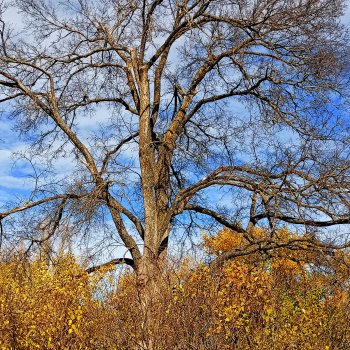 Соседи.Путешествие в Тарханы.Продолжение