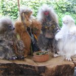 Дух, Шаман, Вожак и Травник