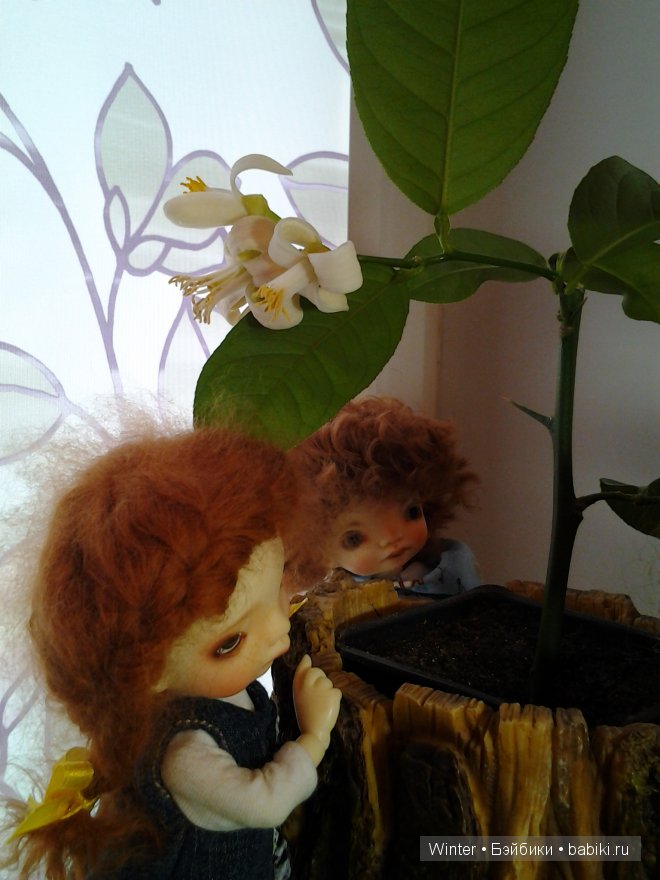 У нас тоже обновочки — Куклы Irrealdoll (Ирреалдолл): BJD (БЖД) (фото 8)