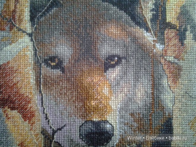 Увлечений много не бывает, бывает мало свободного времени (фото 6)