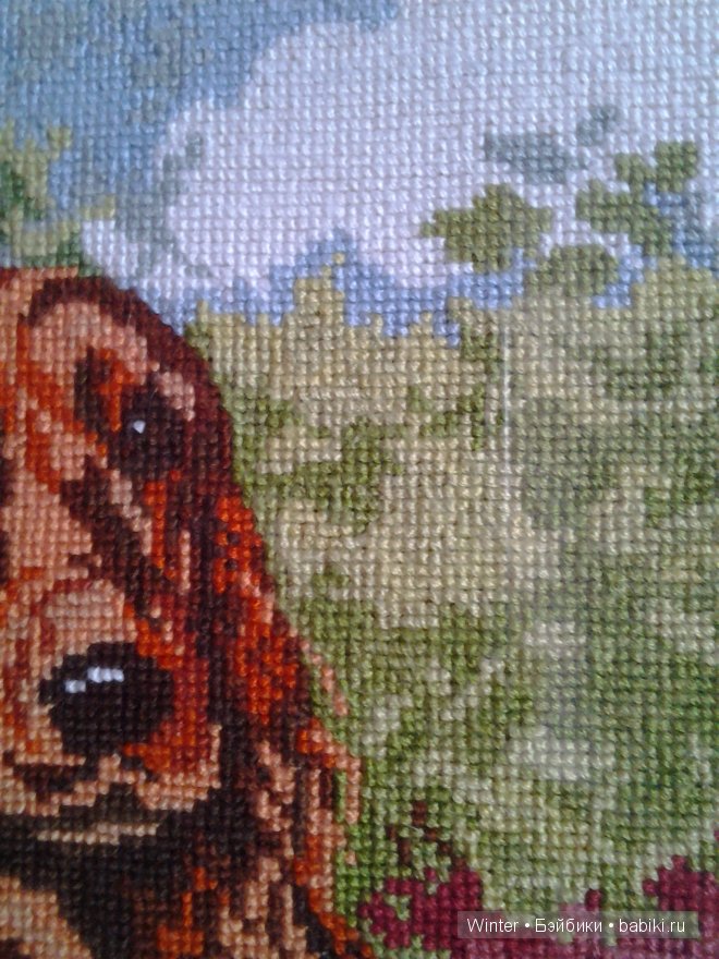 Увлечений много не бывает, бывает мало свободного времени