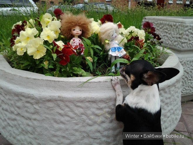 Мои "светлячки" Irrealdoll (фото 9)