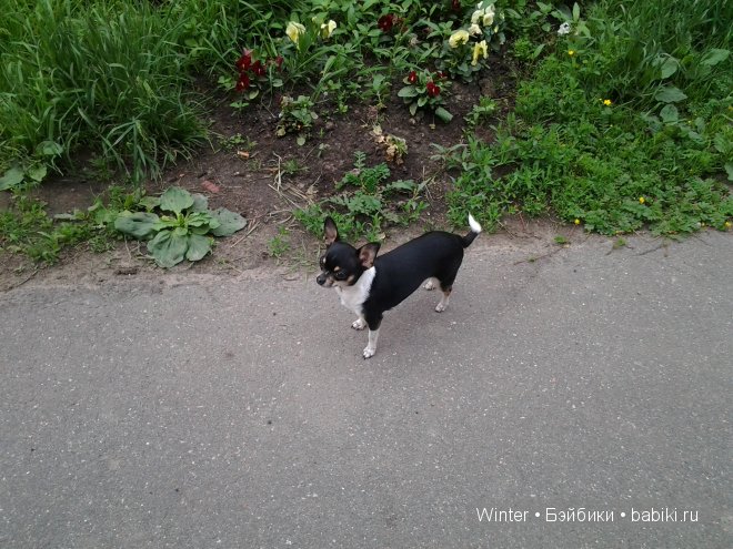 Мои "светлячки" Irrealdoll (фото 5)