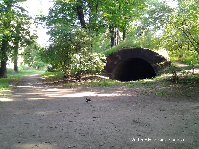 Представилась Амелькой — Куклы Fairyland (ФэйриЛэнд): BJD (БЖД)