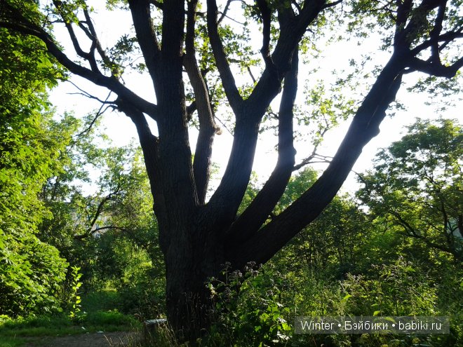 Представилась Амелькой — Куклы Fairyland (ФэйриЛэнд): BJD (БЖД) (фото 5)