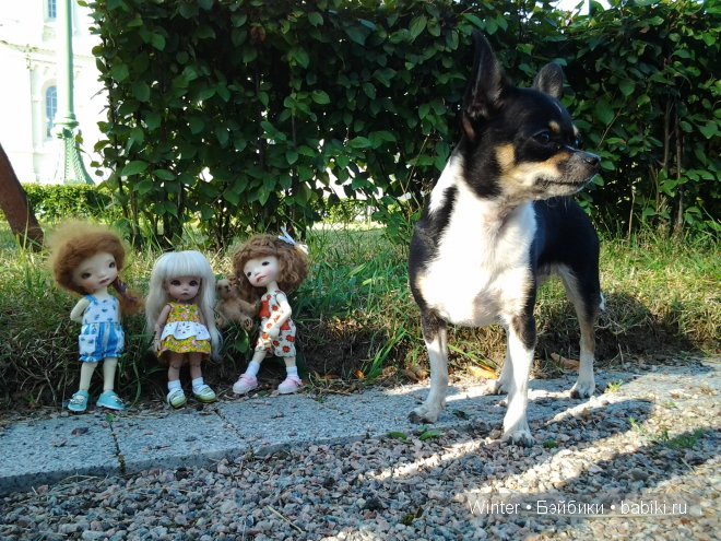 Представилась Амелькой — Куклы Fairyland (ФэйриЛэнд): BJD (БЖД)