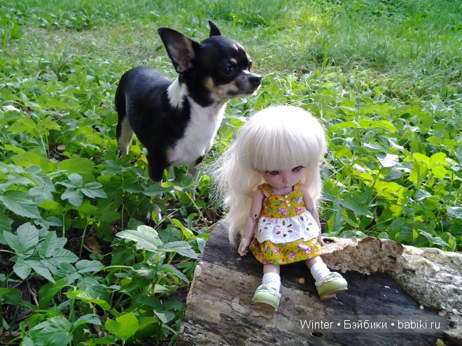 Представилась Амелькой — Куклы Fairyland (ФэйриЛэнд): BJD (БЖД)