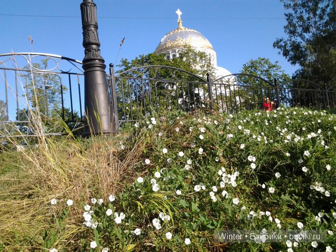 Представилась Амелькой — Куклы Fairyland (ФэйриЛэнд): BJD (БЖД)