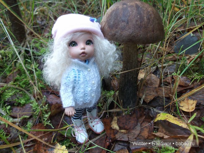 Грибная пора — Куклы Fairyland (ФэйриЛэнд): BJD (БЖД) (фото 5)