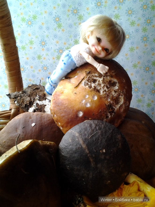 Грибная пора — Куклы Fairyland (ФэйриЛэнд): BJD (БЖД)