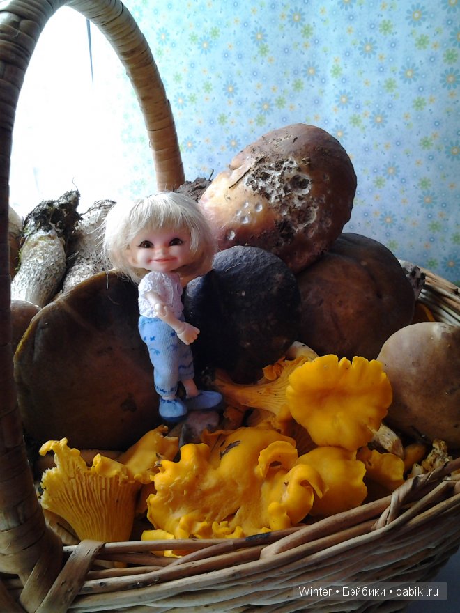 Грибная пора — Куклы Fairyland (ФэйриЛэнд): BJD (БЖД)
