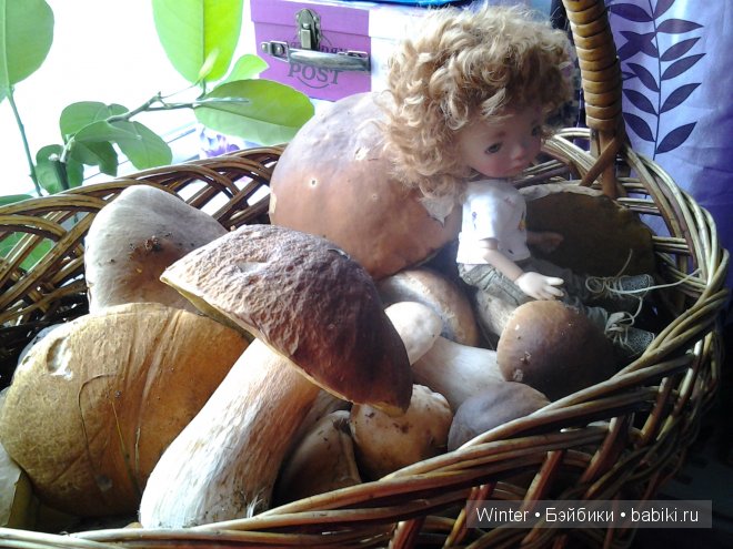 Грибная пора -2 — Куклы Fairyland (ФэйриЛэнд): BJD (БЖД)