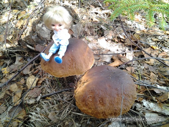 Грибная пора -2 — Куклы Fairyland (ФэйриЛэнд): BJD (БЖД) (фото 9)