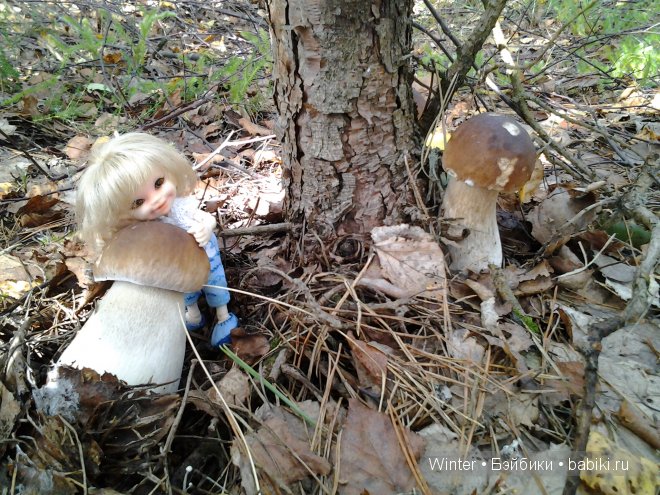 Грибная пора -2 — Куклы Fairyland (ФэйриЛэнд): BJD (БЖД) (фото 6)