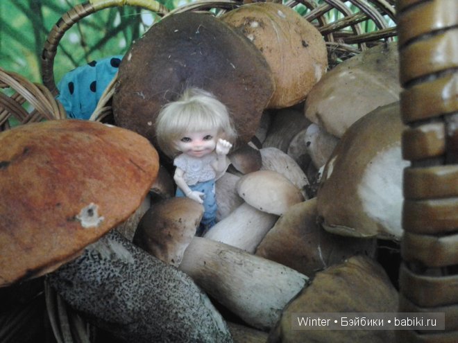 Грибная пора -2 — Куклы Fairyland (ФэйриЛэнд): BJD (БЖД)
