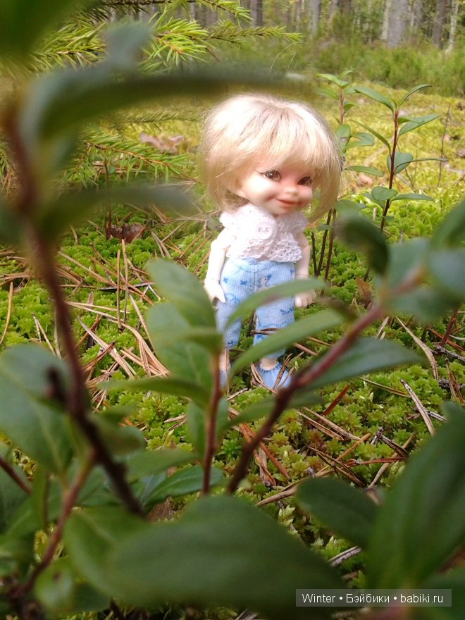 Грибная пора -2 — Куклы Fairyland (ФэйриЛэнд): BJD (БЖД)
