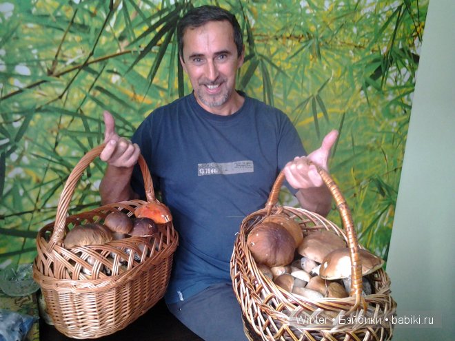 Грибная пора -2 — Куклы Fairyland (ФэйриЛэнд): BJD (БЖД)