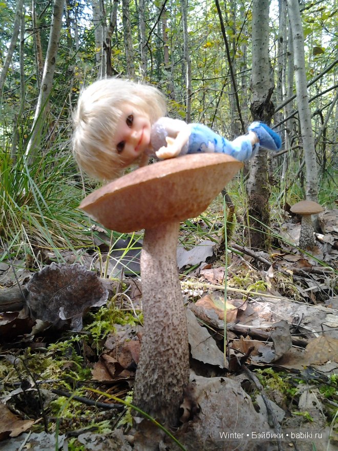 Грибная пора -2 — Куклы Fairyland (ФэйриЛэнд): BJD (БЖД) (фото 4)