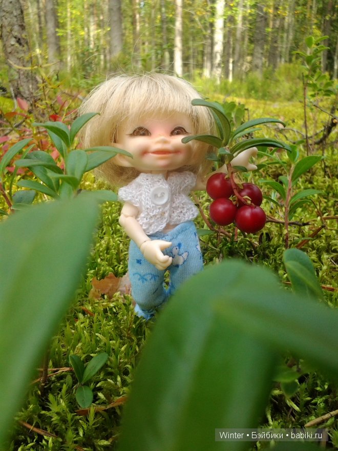 Грибная пора -2 — Куклы Fairyland (ФэйриЛэнд): BJD (БЖД)