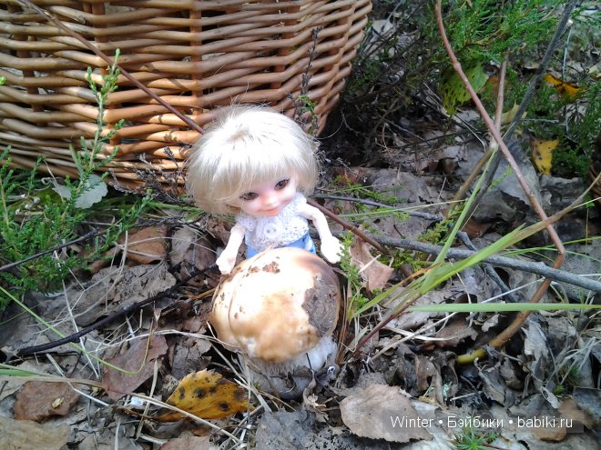 Грибная пора -2 — Куклы Fairyland (ФэйриЛэнд): BJD (БЖД) (фото 10)