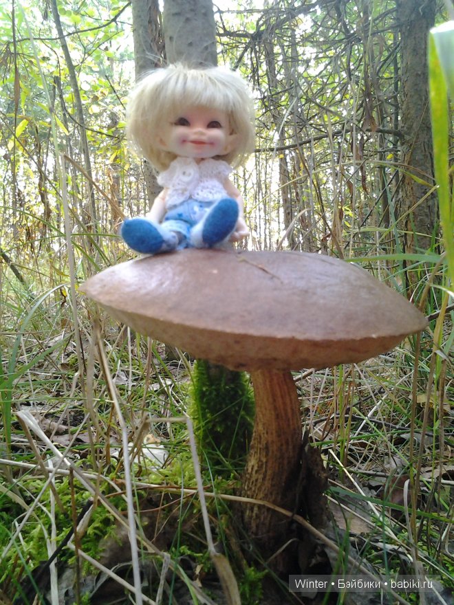 Грибная пора -2 — Куклы Fairyland (ФэйриЛэнд): BJD (БЖД) (фото 3)