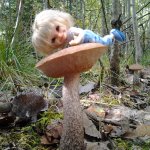 Грибная пора -2