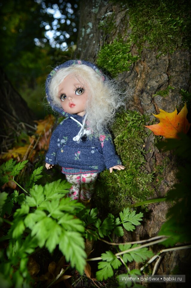 Осень, солнце, куклы — Куклы Fairyland (ФэйриЛэнд): BJD (БЖД) (фото 4)