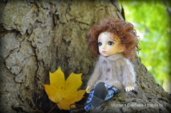 Осень, солнце, куклы — Куклы Fairyland (ФэйриЛэнд): BJD (БЖД) (фото 7)
