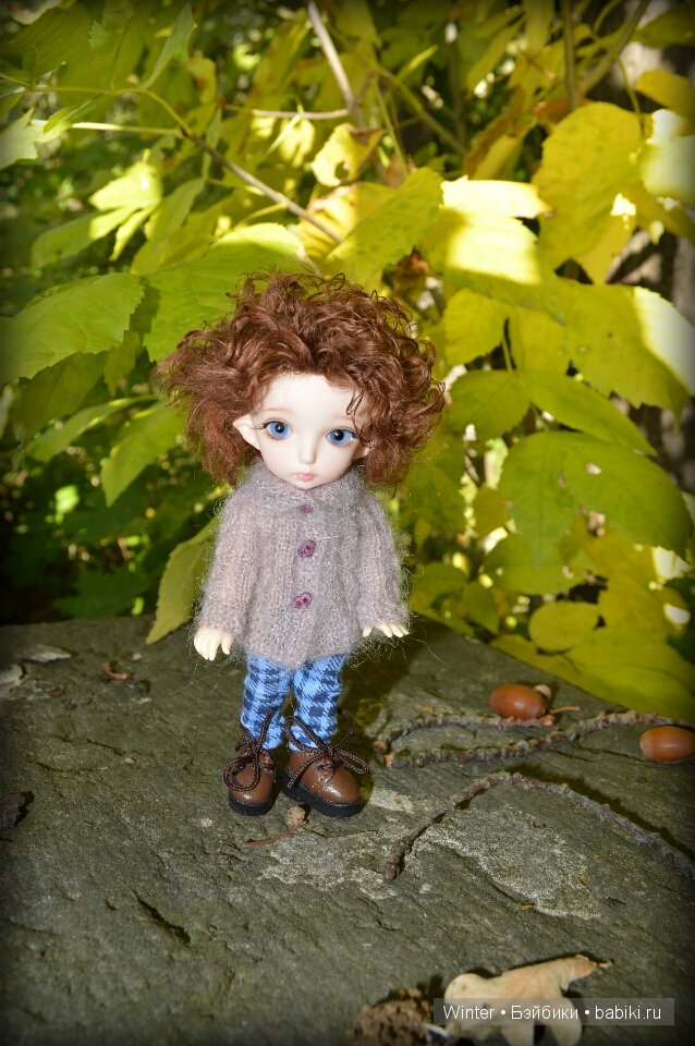 Осень, солнце, куклы — Куклы Fairyland (ФэйриЛэнд): BJD (БЖД) (фото 8)