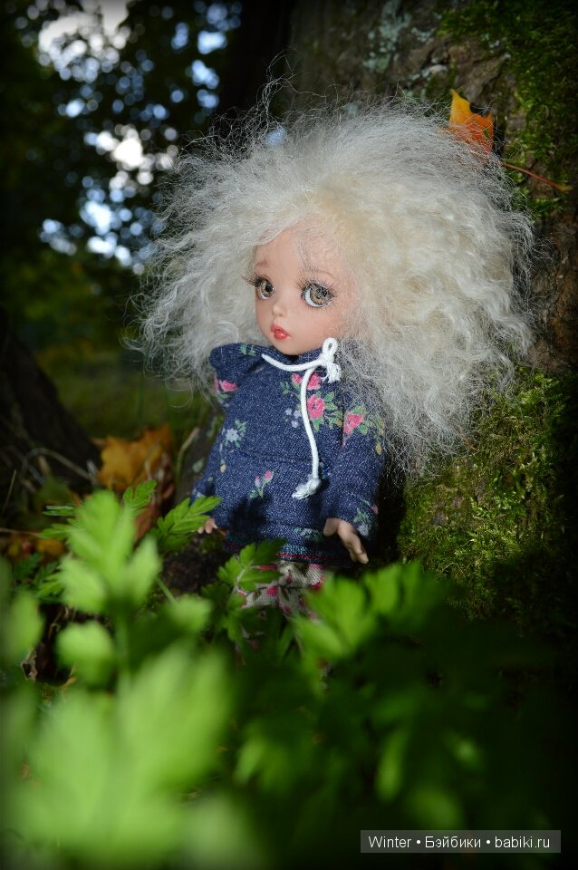Осень, солнце, куклы — Куклы Fairyland (ФэйриЛэнд): BJD (БЖД) (фото 2)